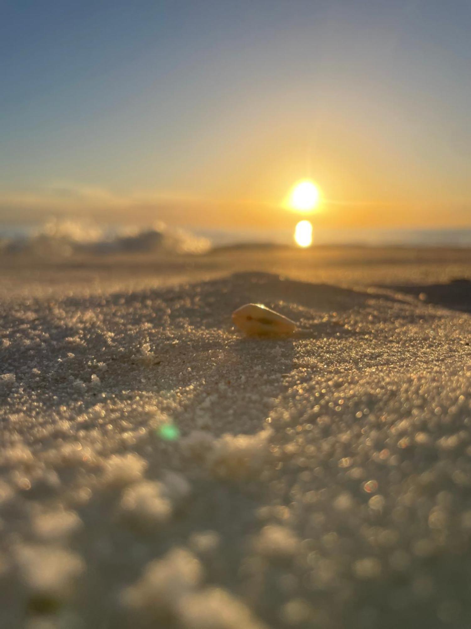 Siren's Call * Panama City Beach